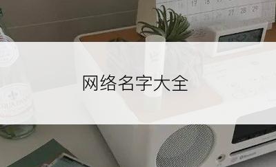 网络名字大全