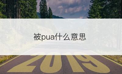 被pua什么意思