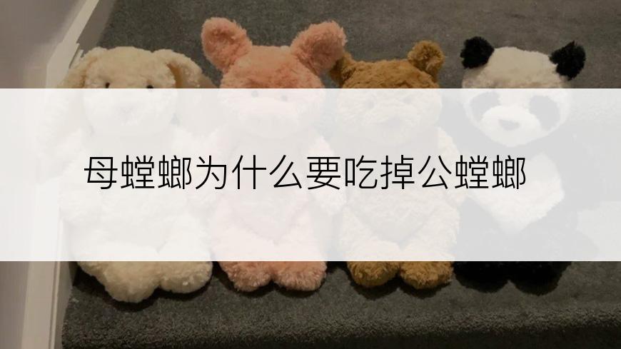 母螳螂为什么要吃掉公螳螂