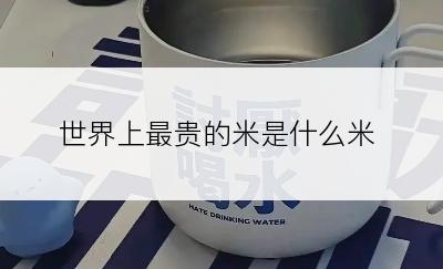 世界上最贵的米是什么米