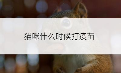 猫咪什么时候打疫苗