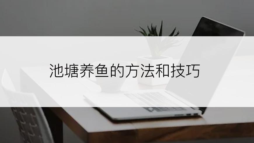 池塘养鱼的方法和技巧