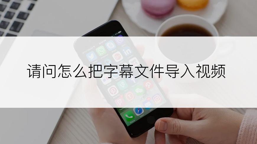 请问怎么把字幕文件导入视频