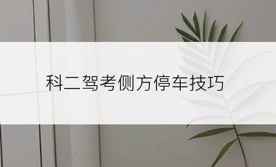 科二驾考侧方停车技巧