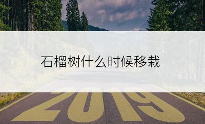 石榴树什么时候移栽