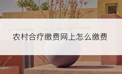 农村合疗缴费网上怎么缴费