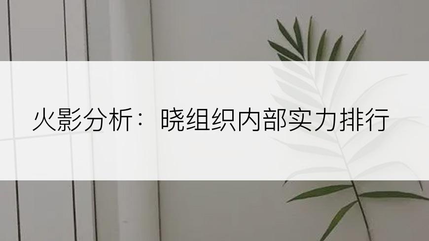 火影分析：晓组织内部实力排行