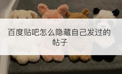 百度贴吧怎么隐藏自己发过的帖子