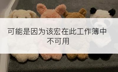 可能是因为该宏在此工作簿中不可用