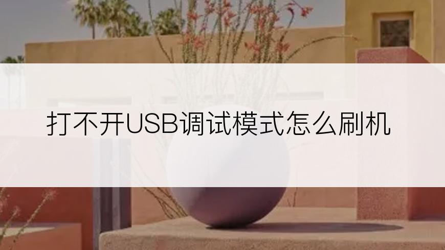 打不开USB调试模式怎么刷机