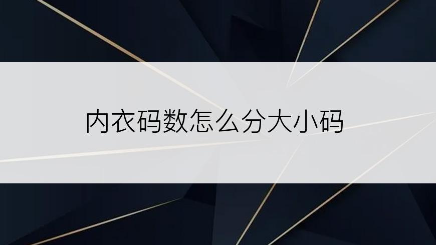 内衣码数怎么分大小码