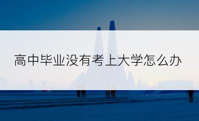 高中毕业没有考上大学怎么办