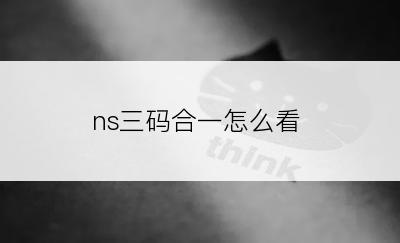 ns三码合一怎么看