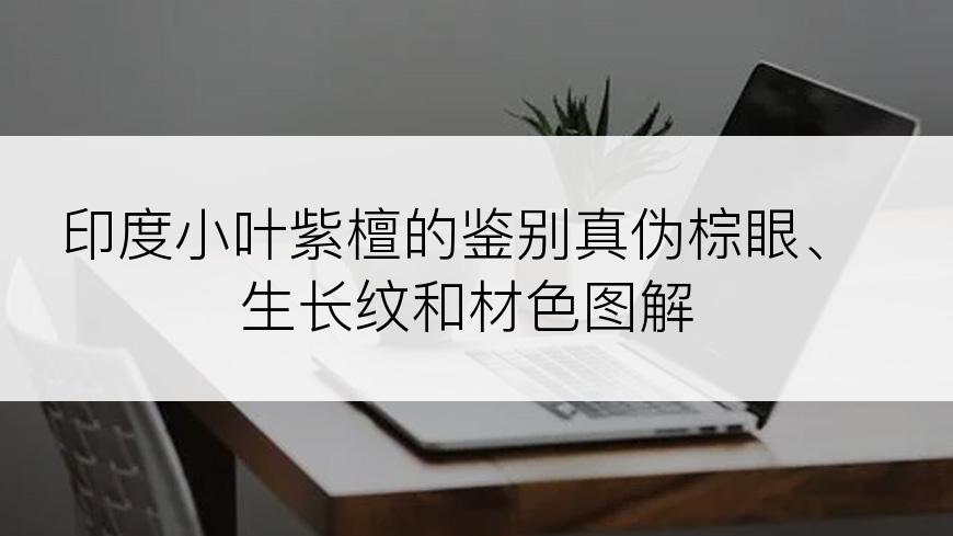 印度小叶紫檀的鉴别真伪棕眼、生长纹和材色图解