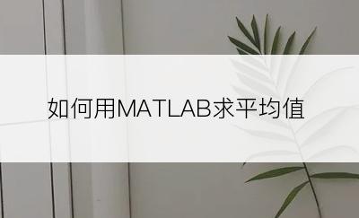 如何用MATLAB求平均值