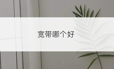 宽带哪个好