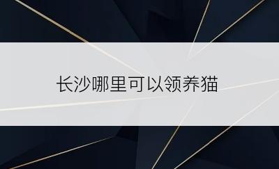 长沙哪里可以领养猫