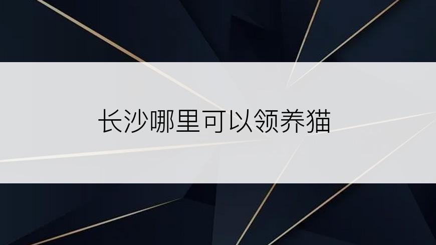 长沙哪里可以领养猫