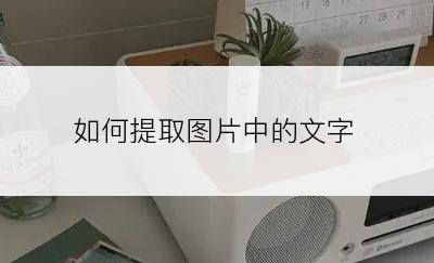 如何提取图片中的文字