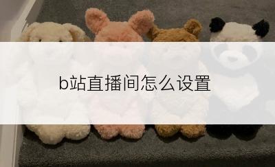 b站直播间怎么设置