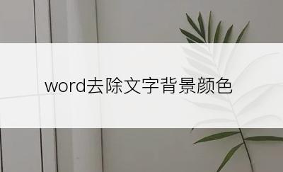 word去除文字背景颜色