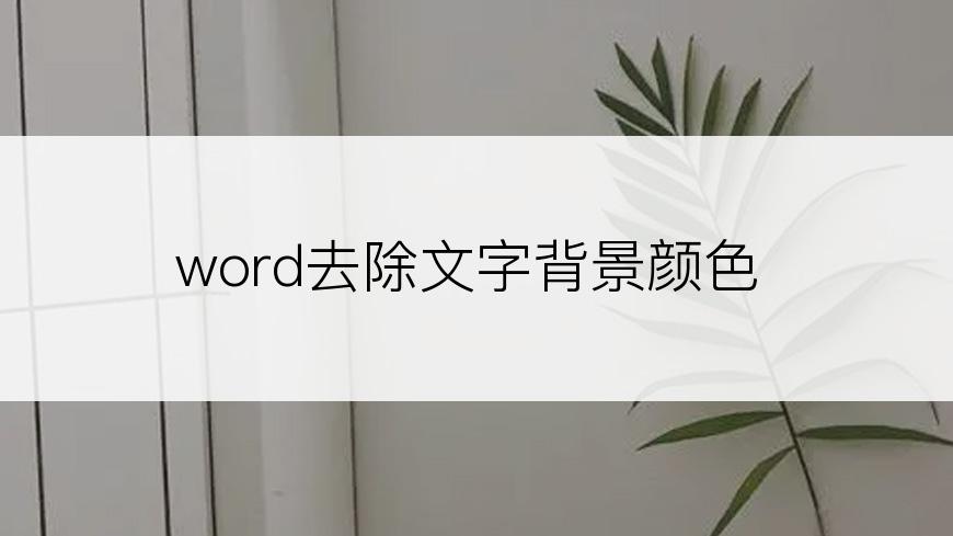 word去除文字背景颜色