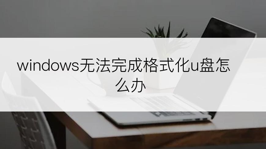 windows无法完成格式化u盘怎么办