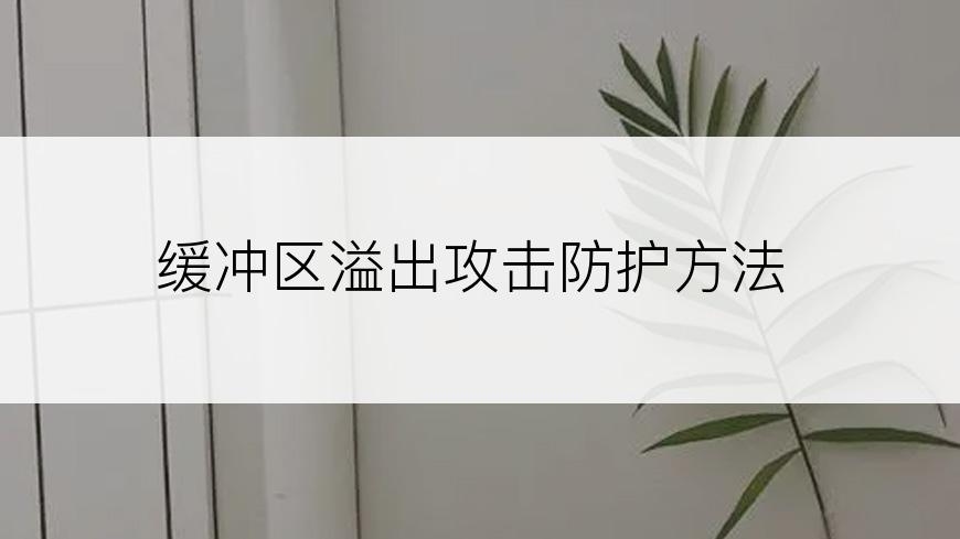 缓冲区溢出攻击防护方法