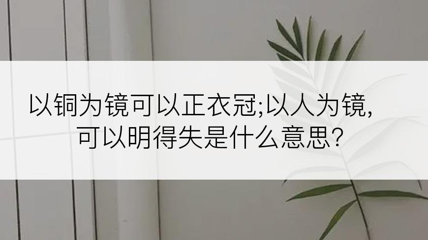 以铜为镜可以正衣冠;以人为镜,可以明得失是什么意思？