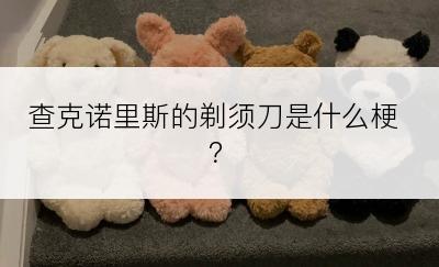 查克诺里斯的剃须刀是什么梗？