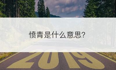 愤青是什么意思？