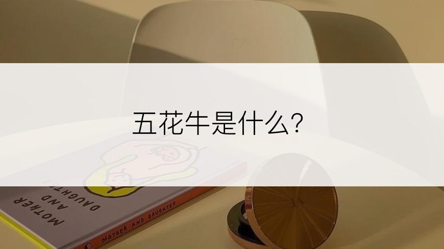 五花牛是什么？