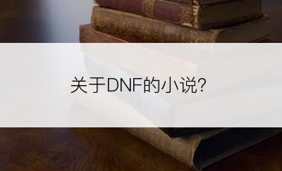 关于DNF的小说？