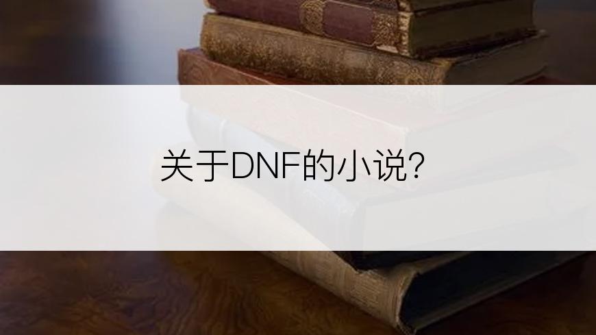 关于DNF的小说？