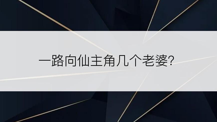 一路向仙主角几个老婆？