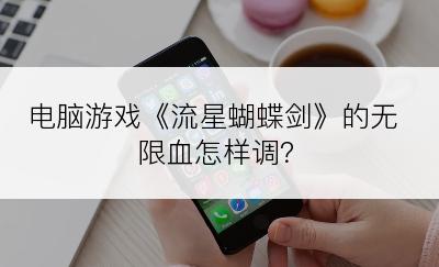 电脑游戏《流星蝴蝶剑》的无限血怎样调？