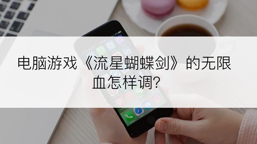 电脑游戏《流星蝴蝶剑》的无限血怎样调？