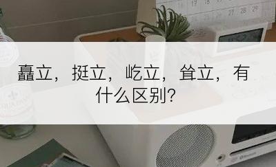 矗立，挺立，屹立，耸立，有什么区别？