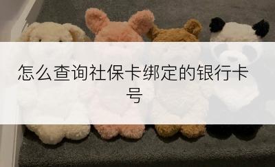 怎么查询社保卡绑定的银行卡号