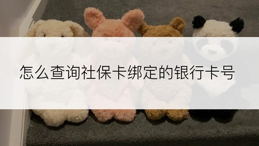 怎么查询社保卡绑定的银行卡号