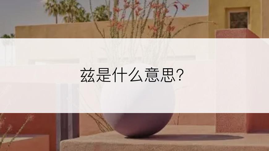 兹是什么意思？