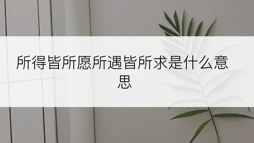 所得皆所愿所遇皆所求是什么意思