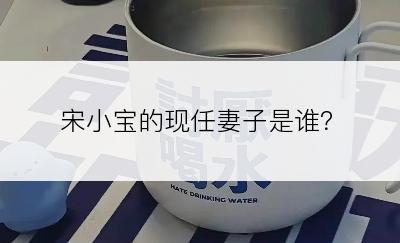 宋小宝的现任妻子是谁？