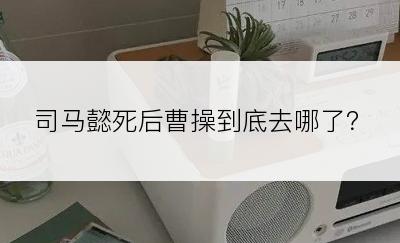 司马懿死后曹操到底去哪了？