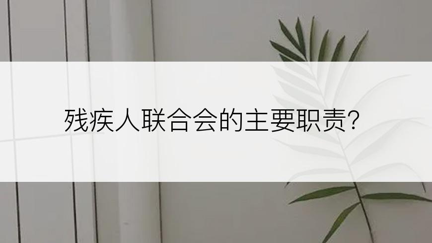 残疾人联合会的主要职责？