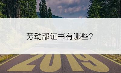 劳动部证书有哪些？