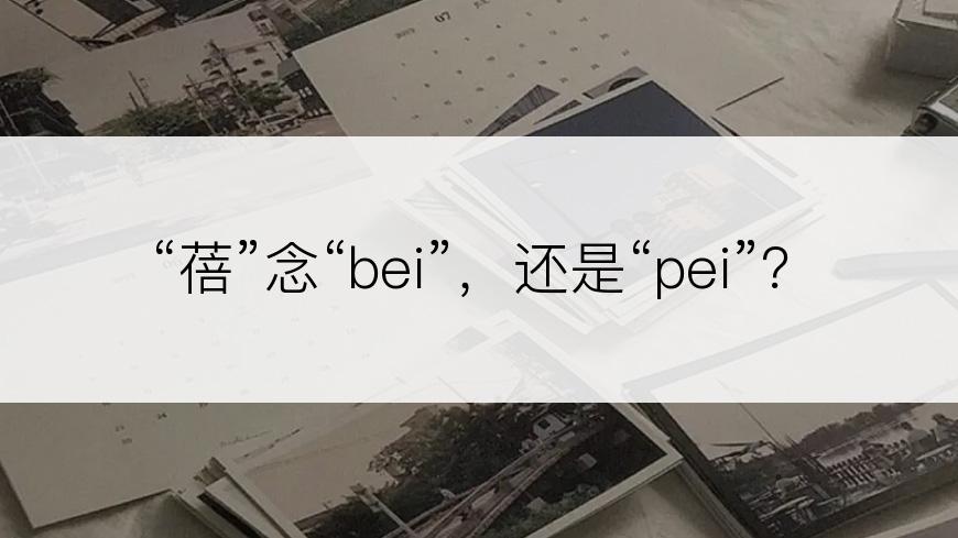 “蓓”念“bei”，还是“pei”？