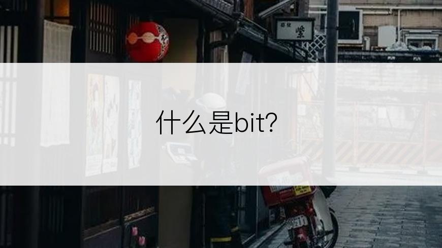 什么是bit？