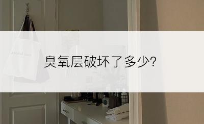 臭氧层破坏了多少？