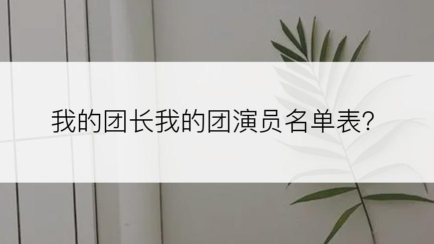 我的团长我的团演员名单表？